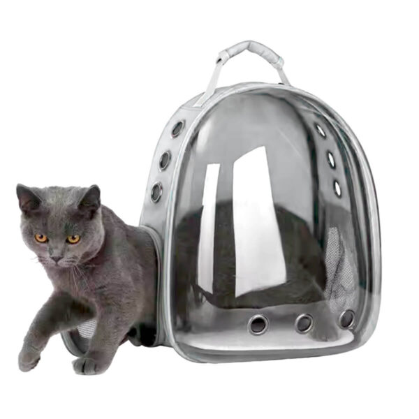 15289153313_Mochila_Transporte_Pet_Cachorro_Gato_Transparente_Macho203.jpg