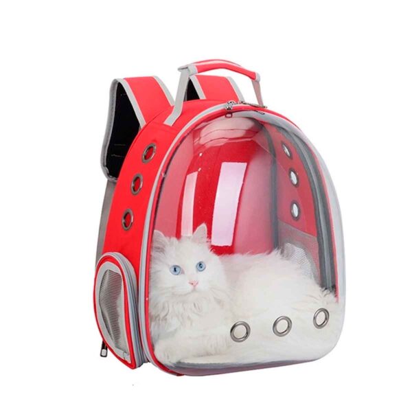 15289167955_Mochila_Transporte_Pet_Cachorro_Gato_Transparente_Femea201.jpg